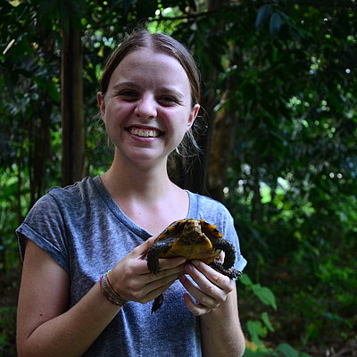 Turtle Conservation Center Jugendgemeinschaftsdienste Kolping Mittelfristiger Freiwilligendienst Vietnam 