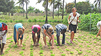 Junge Freiwilligendienstler bei der Feldarbeit in Ghana